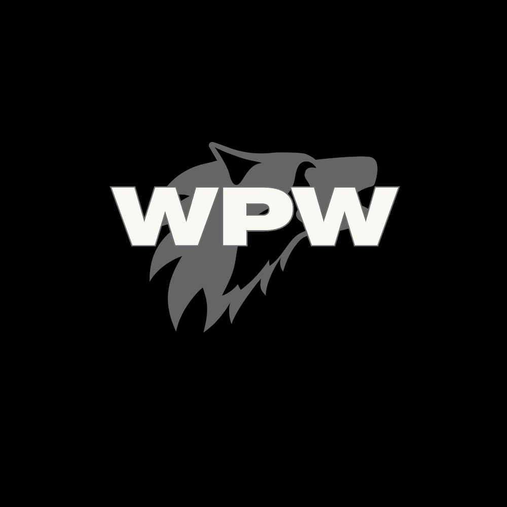 Wolf Power Washing logo