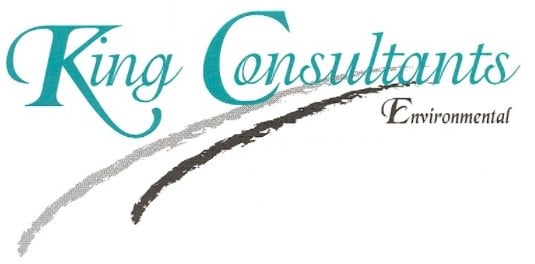Avatar for King Consultants