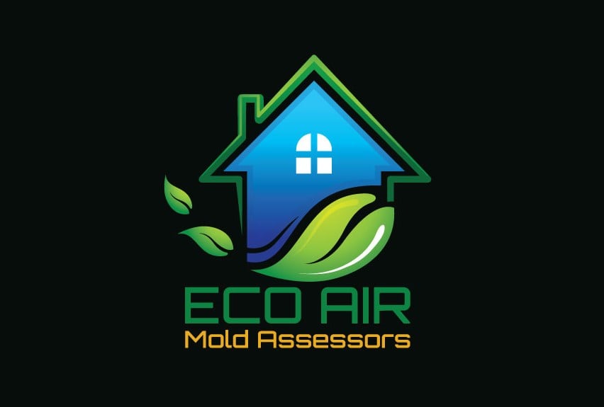 Logo for Eco Air Mold Assessors