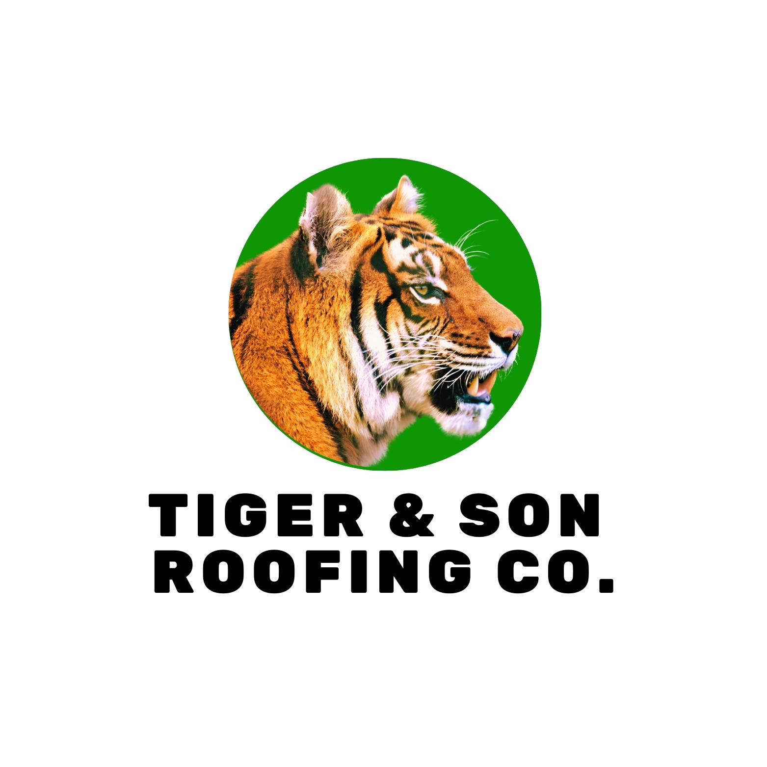 Tiger and Son Roofing logo