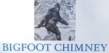 Avatar for Bigfoot chimney and HANDYMAN