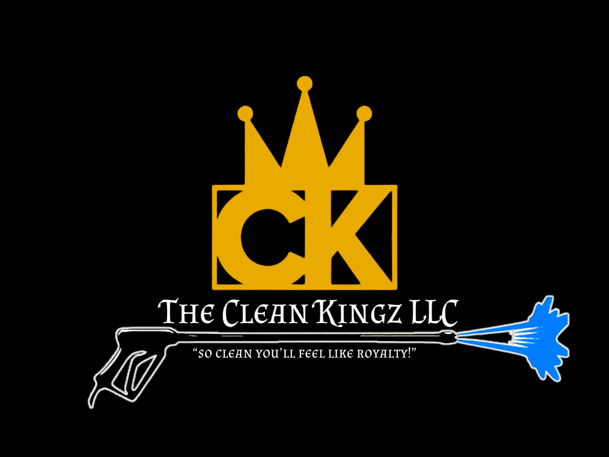 Avatar for The Clean Kingz L.L.C.