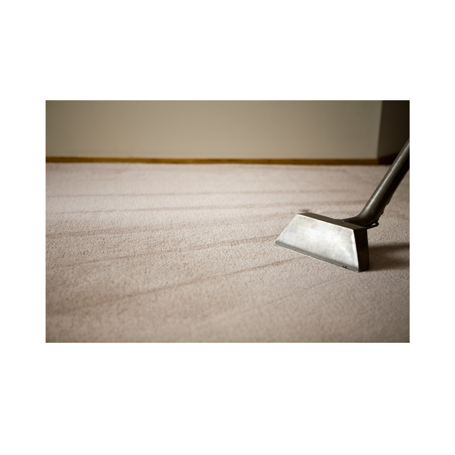 JW Carpet Cleaning logo