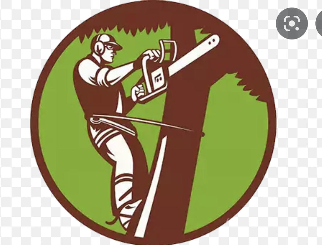 Avatar for A&C Tree Services