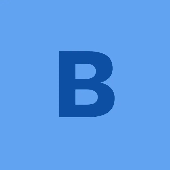 Bigger Vision Bros Inc logo