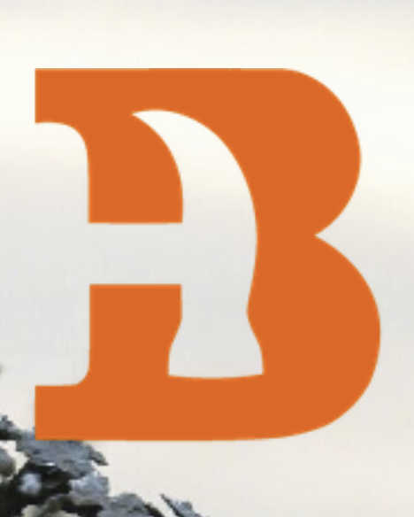 Blancos construction logo