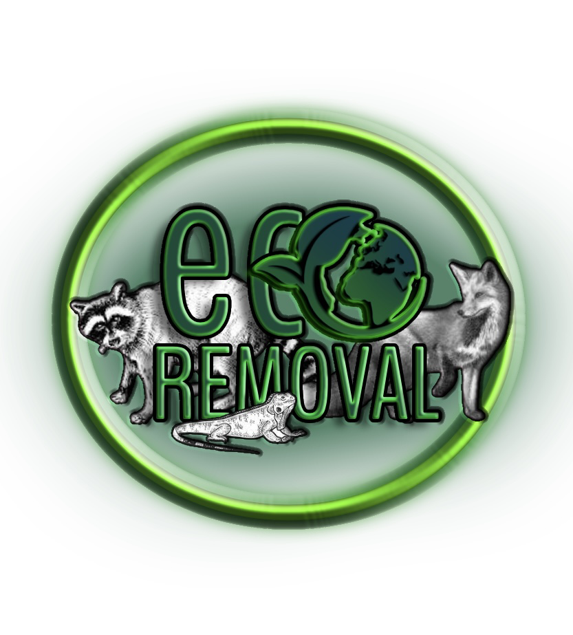 Logo for Eco Removal