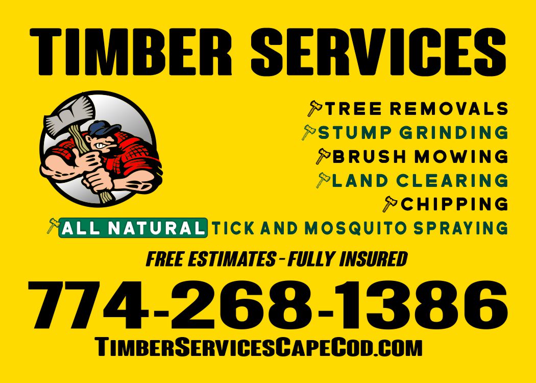 Avatar for Timber Services