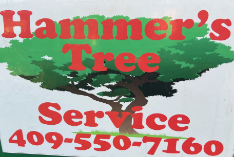 Avatar for Hammers Tree Service