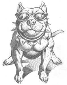 Avatar for Top-notch window cl