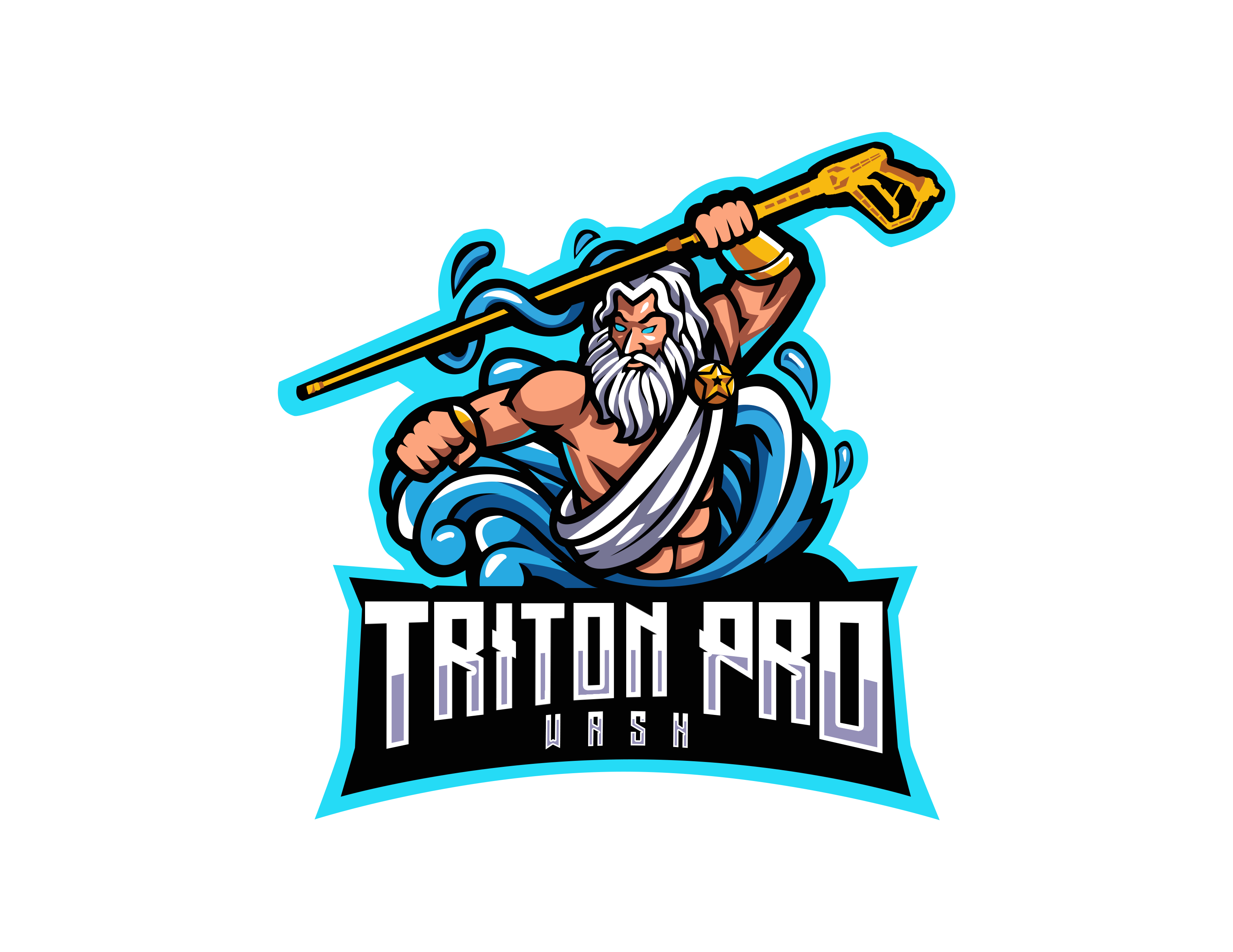 Avatar for Triton Pro Wash