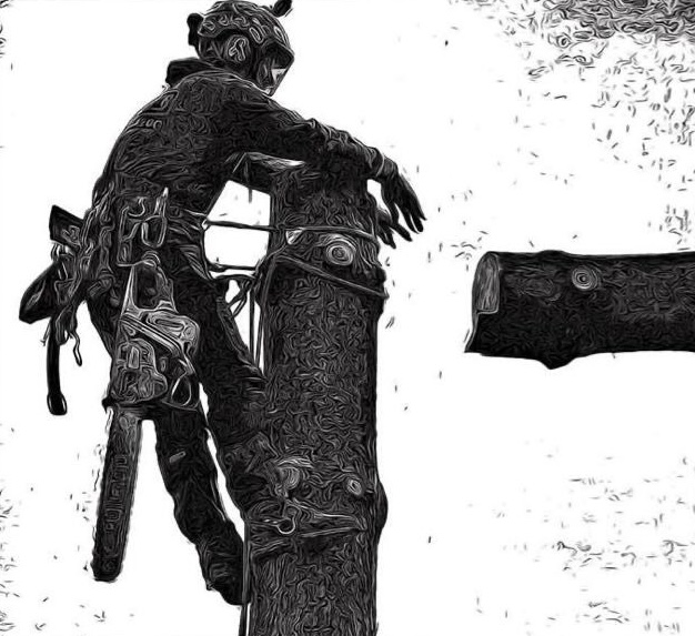 Avatar for Kleyton Moraes