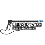 North Lake Pressure Washing logo
