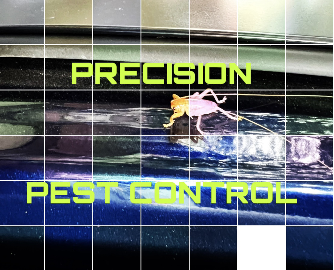 Precision Pest Control logo