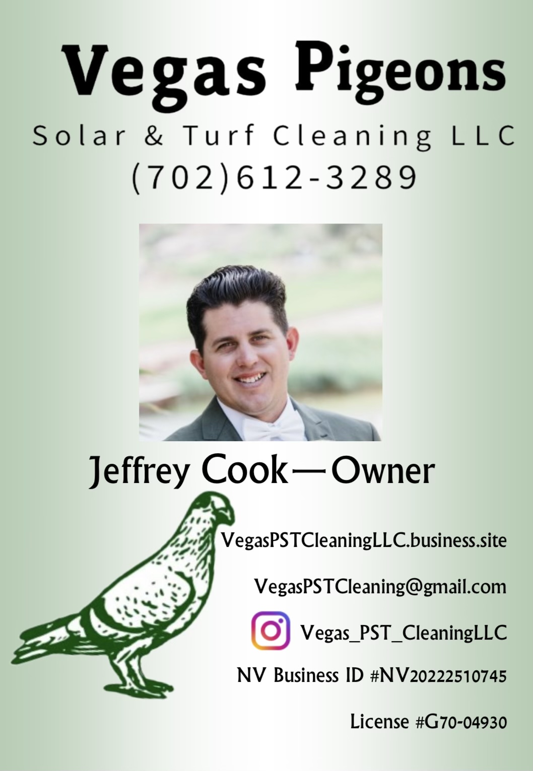 Vegas Pigeon Solar & Turf Cleaning logo