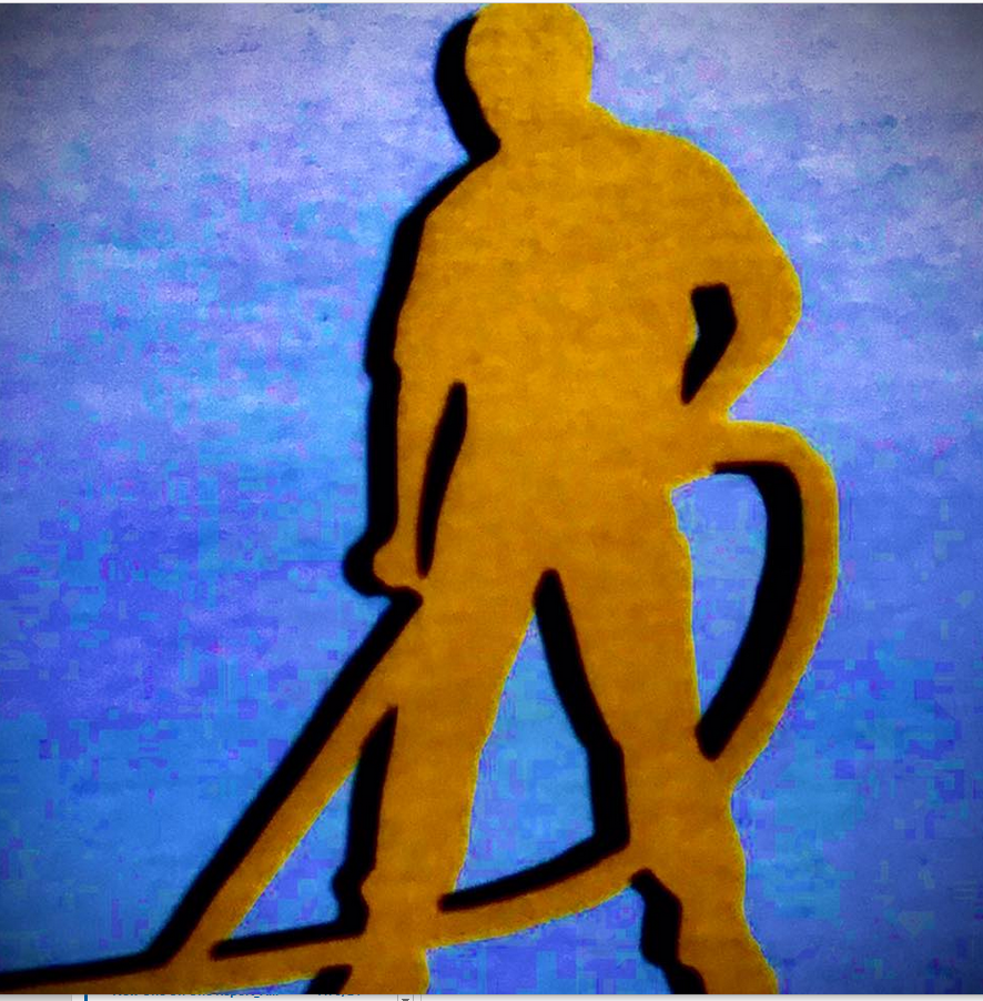 Majestic Carpet Cleaning logo