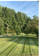 Avatar for Picture Perfect Lawncare and Landscape