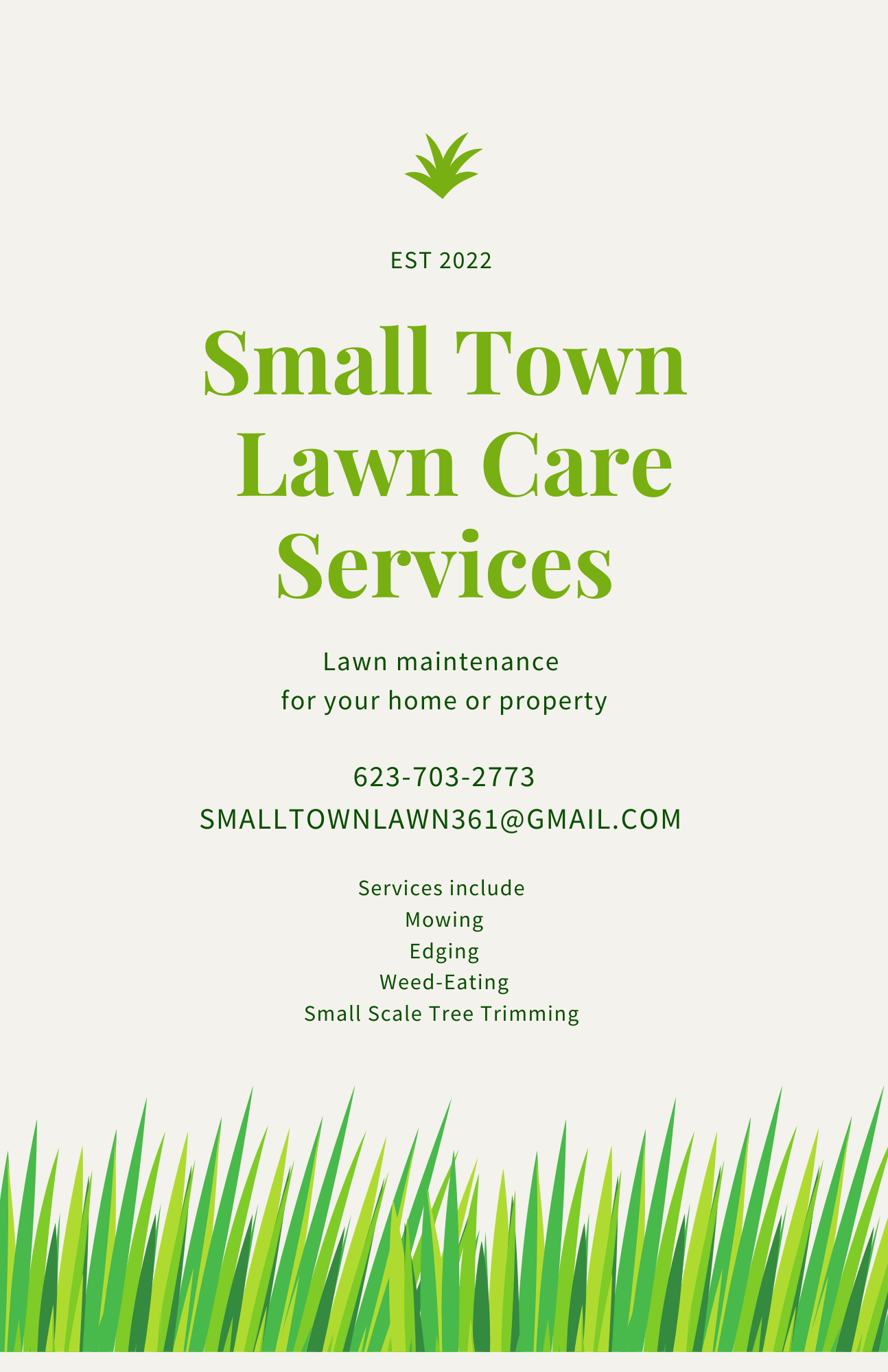 Avatar for Small Town Lawn Care