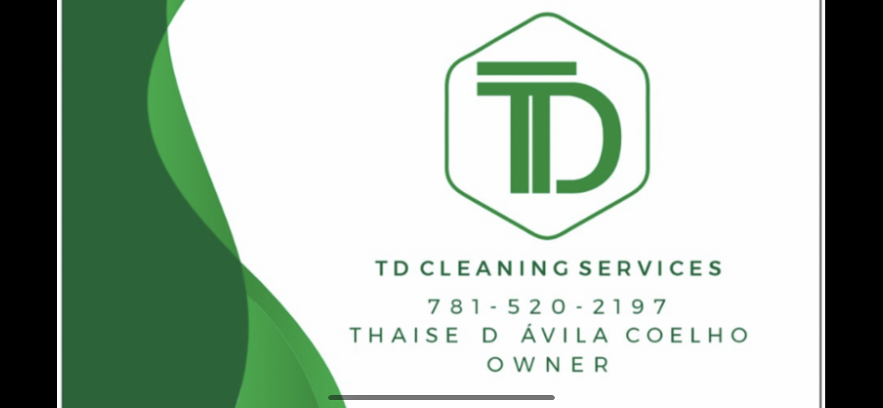 TD Cleaning Services logo