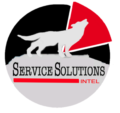 Service Solutions Intel, LLC logo