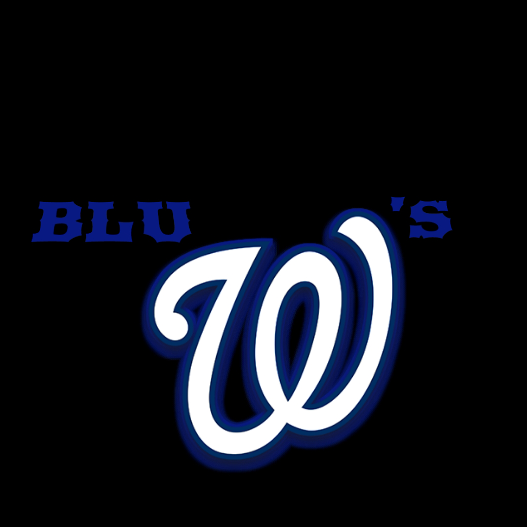 BLUDUBB LLC logo
