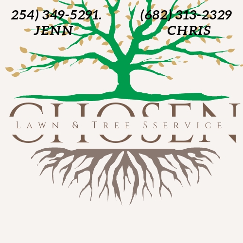 Chosen Lawn & Tree Service logo
