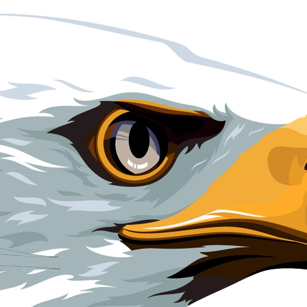 Avatar for Eagle Eye Flooring LLC