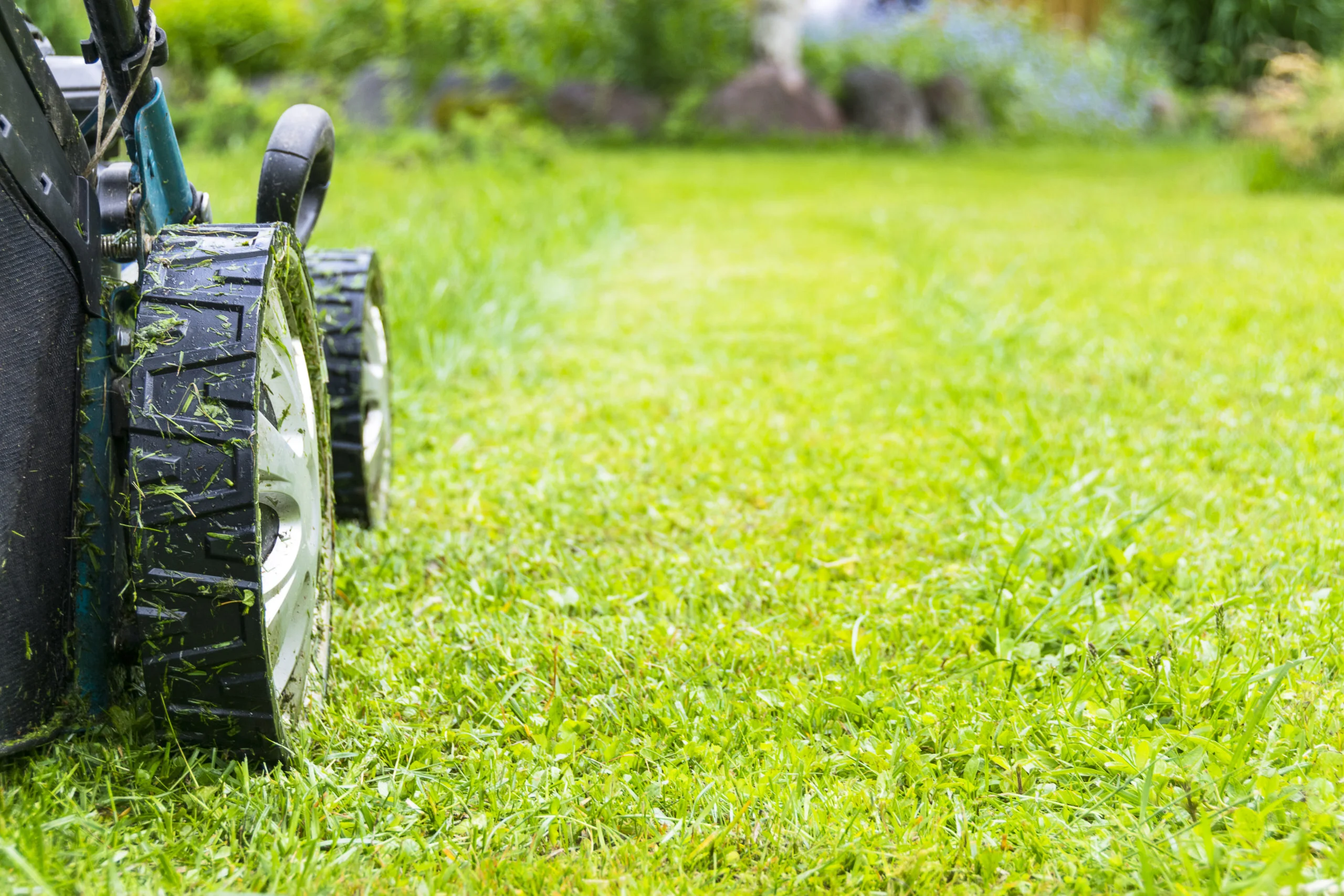 Avatar for Lawn & Yard Work Caring