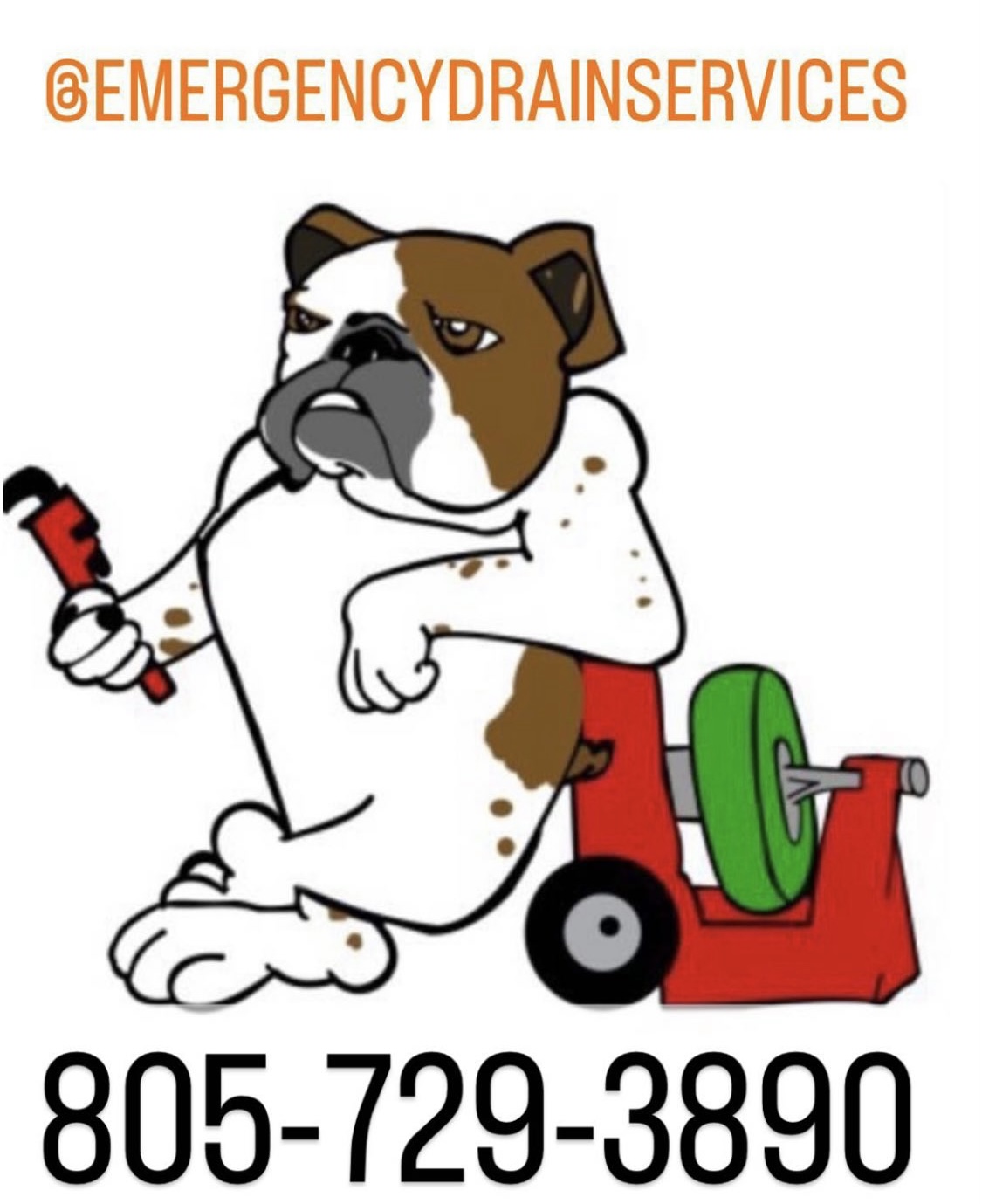 Emergency Drain Services logo