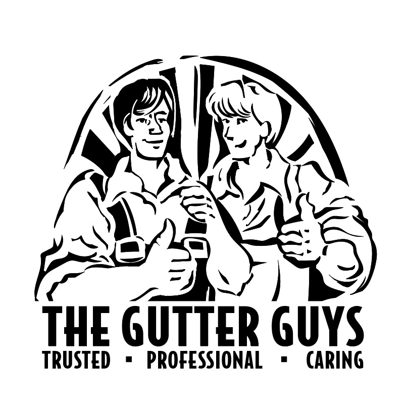 Avatar for The Gutter Guys