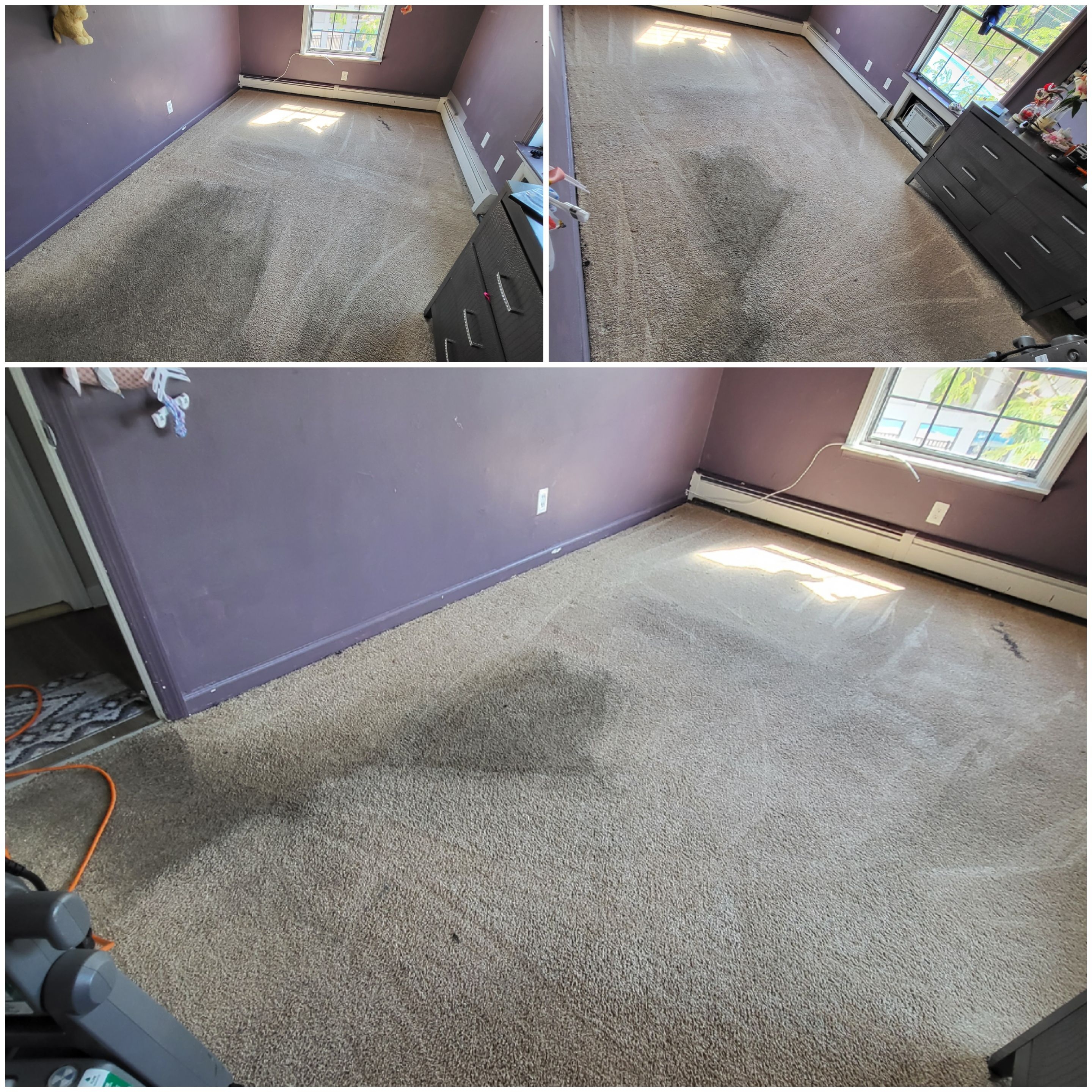 Tanias cleaning services and carpet cleaning LLC logo