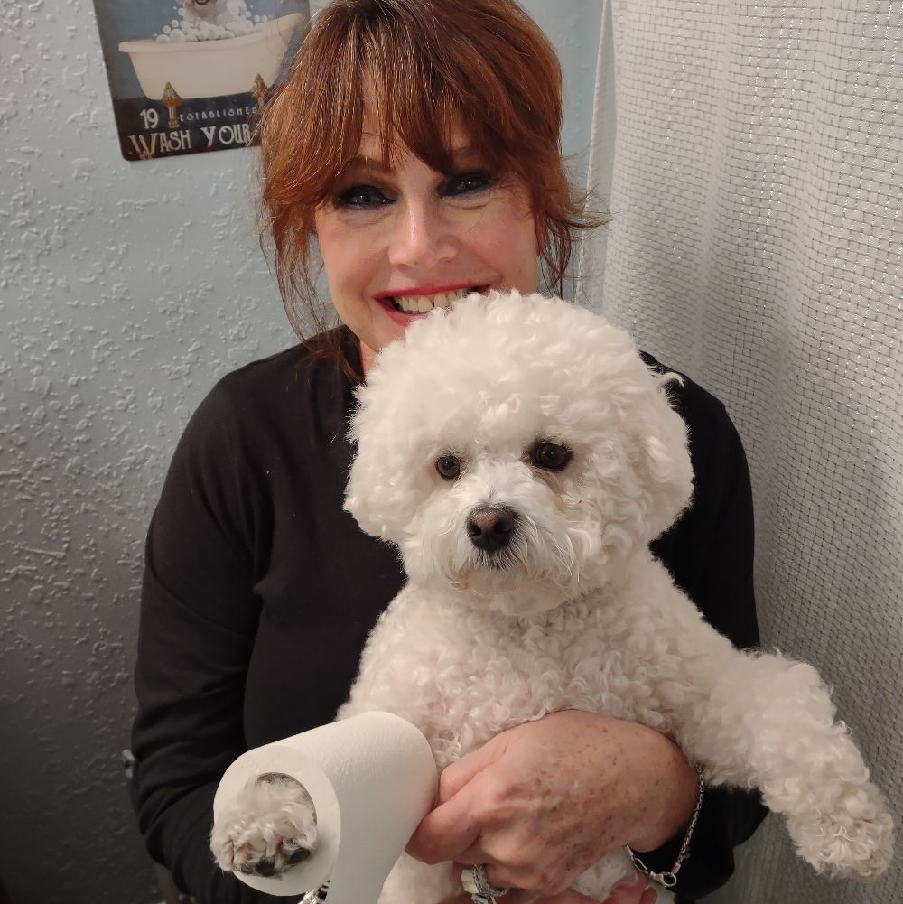 Island Custom Clean LLC logo