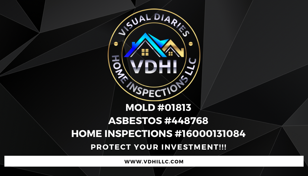 Logo for VISUAL DIARIES HOME INSPECTIONS LLC