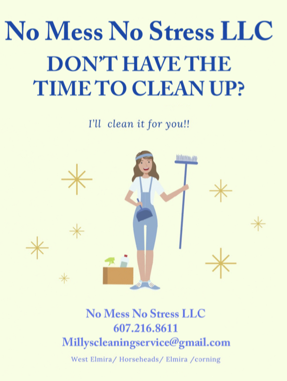 No Mess No Stress LLC logo