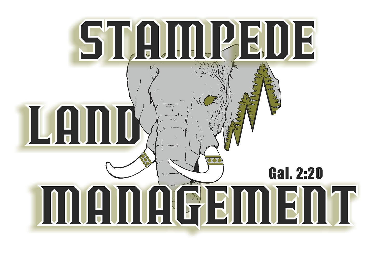 Stampede Land Management logo