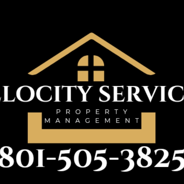 Avatar for Velocity Services, LLC