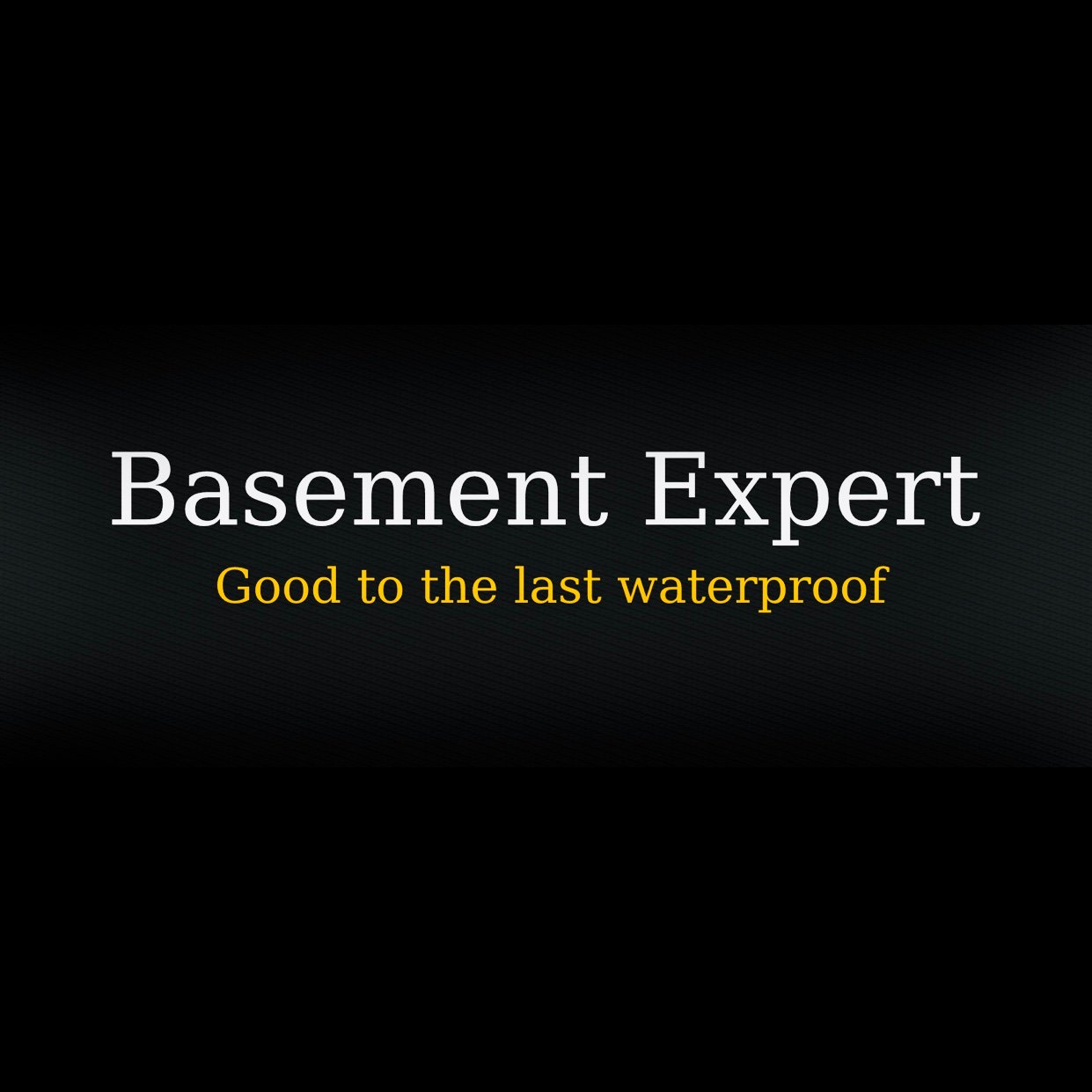 Avatar for Basement Expert