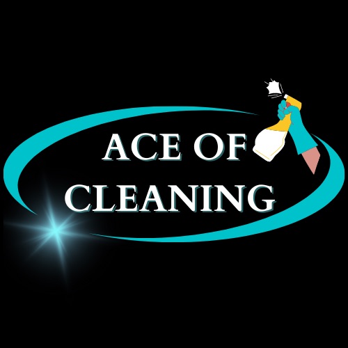 Avatar for Ace Of Cleaning