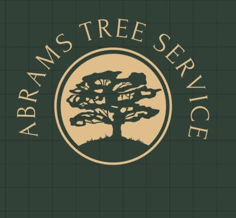 Avatar for Abrams tree service