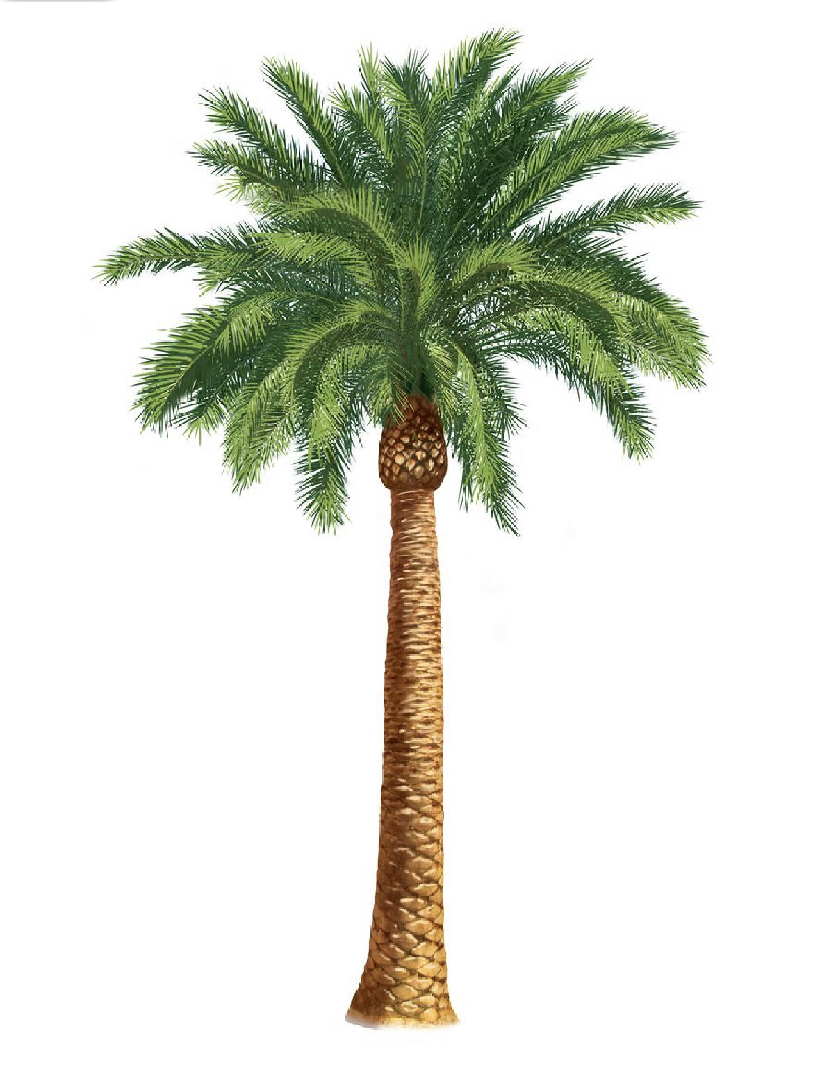 Generations Cable Partners, Inc - Tree Division logo