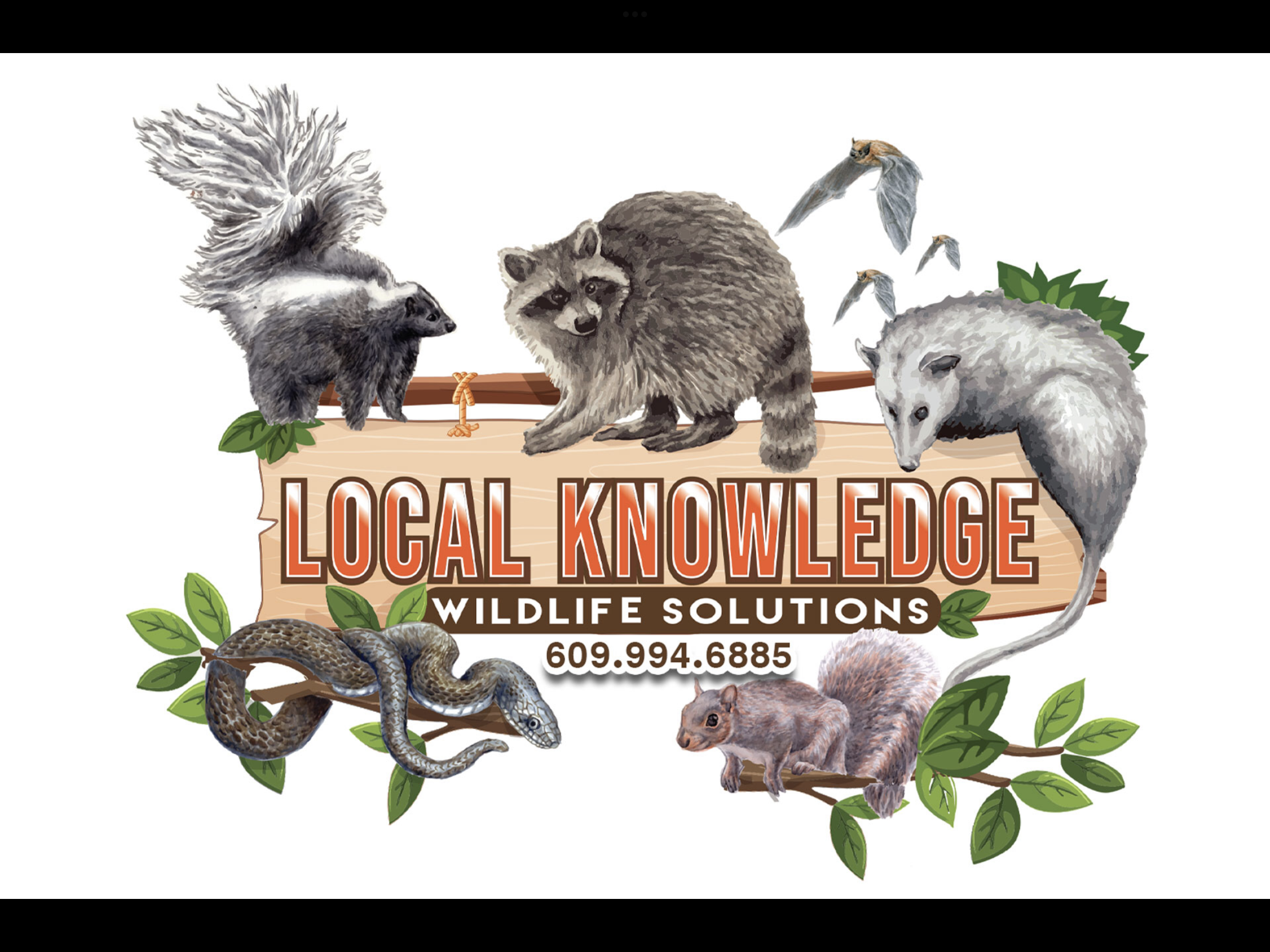 Local knowledge wildlife solutions logo