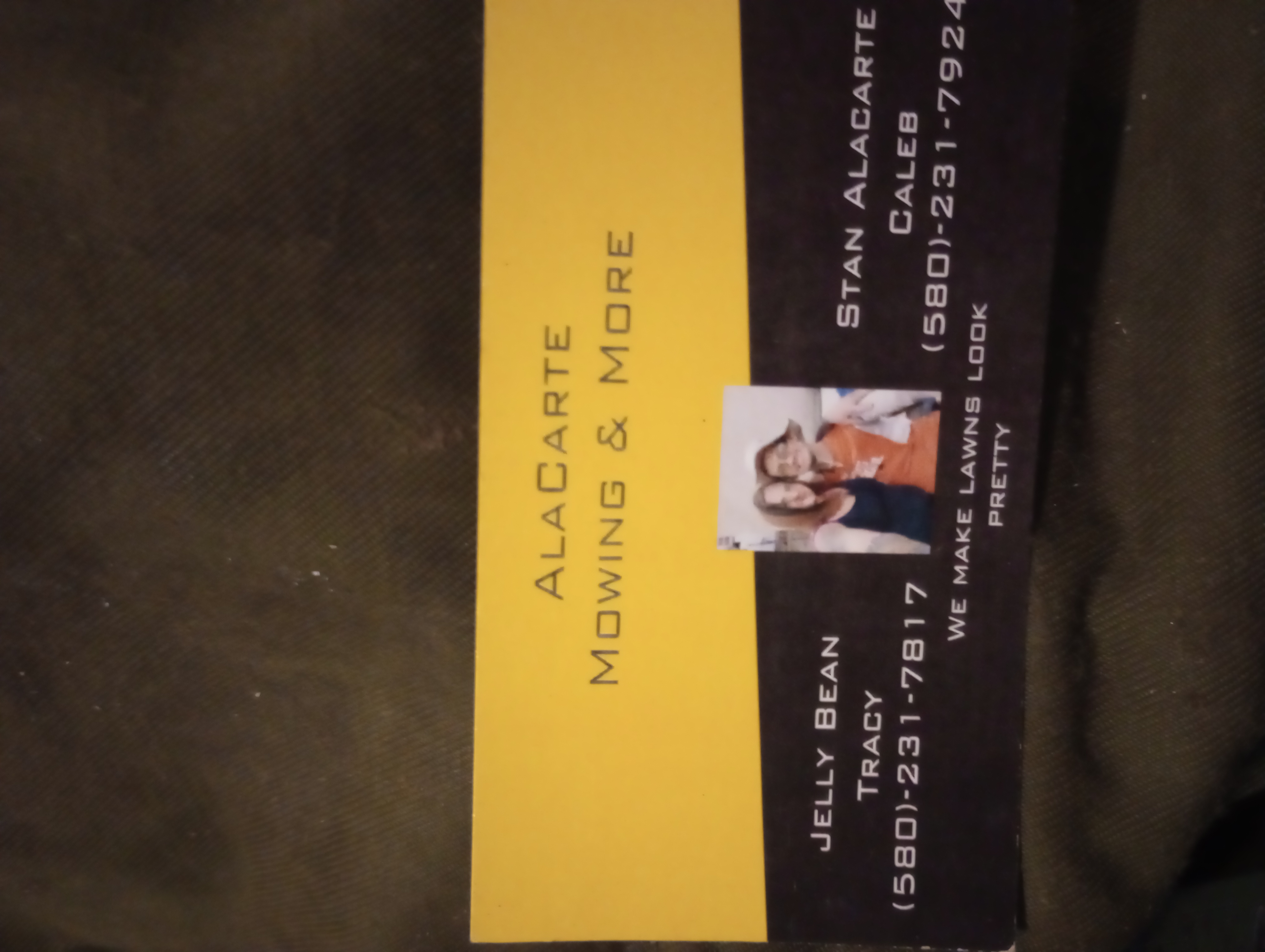 AlaCarte Mowing & More logo