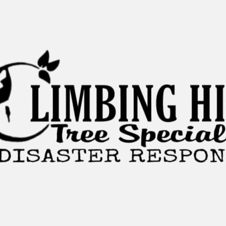Avatar for Climbing High Tree Specialists