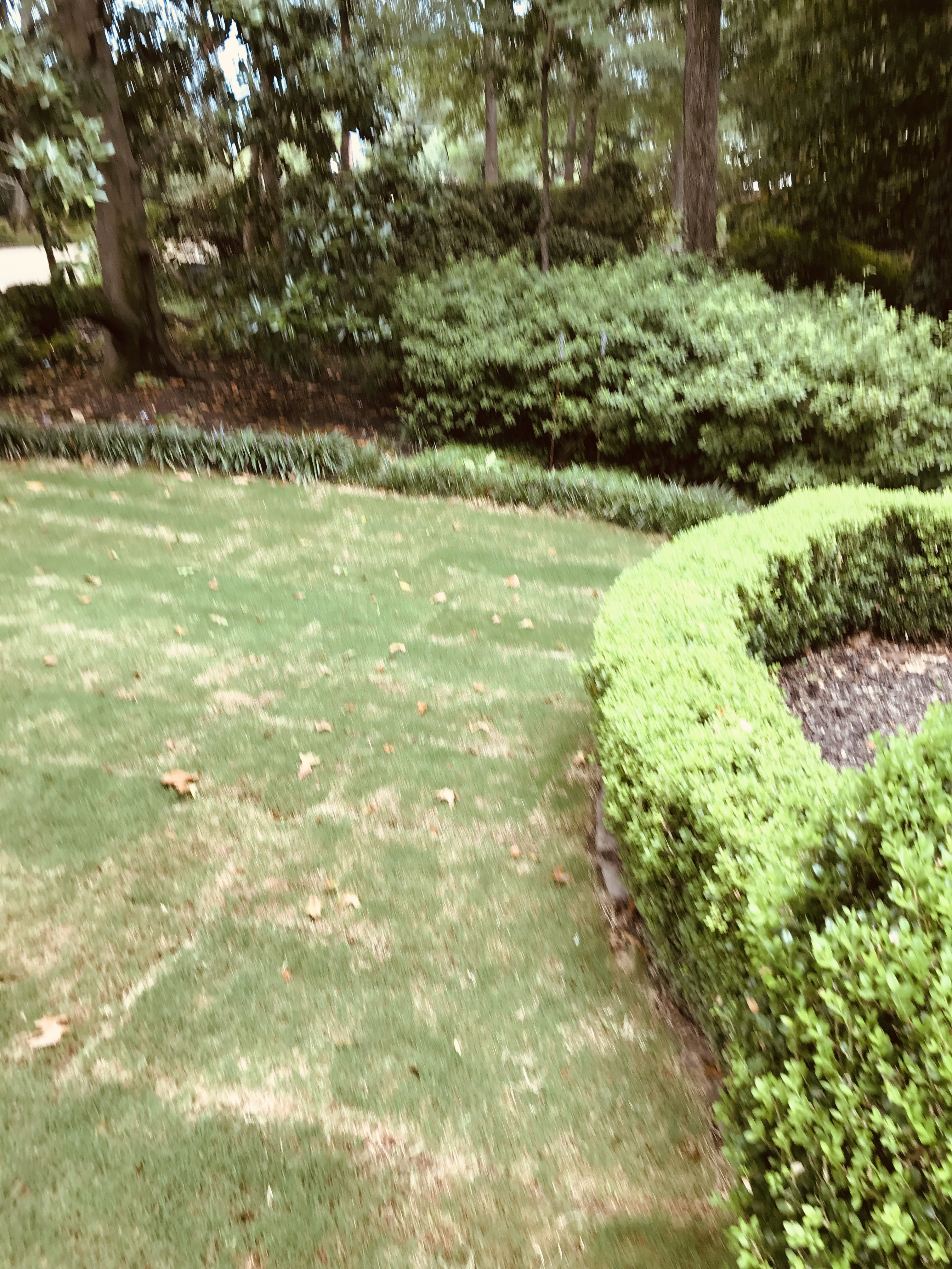 Avatar for Ronnie & Lawncare Services