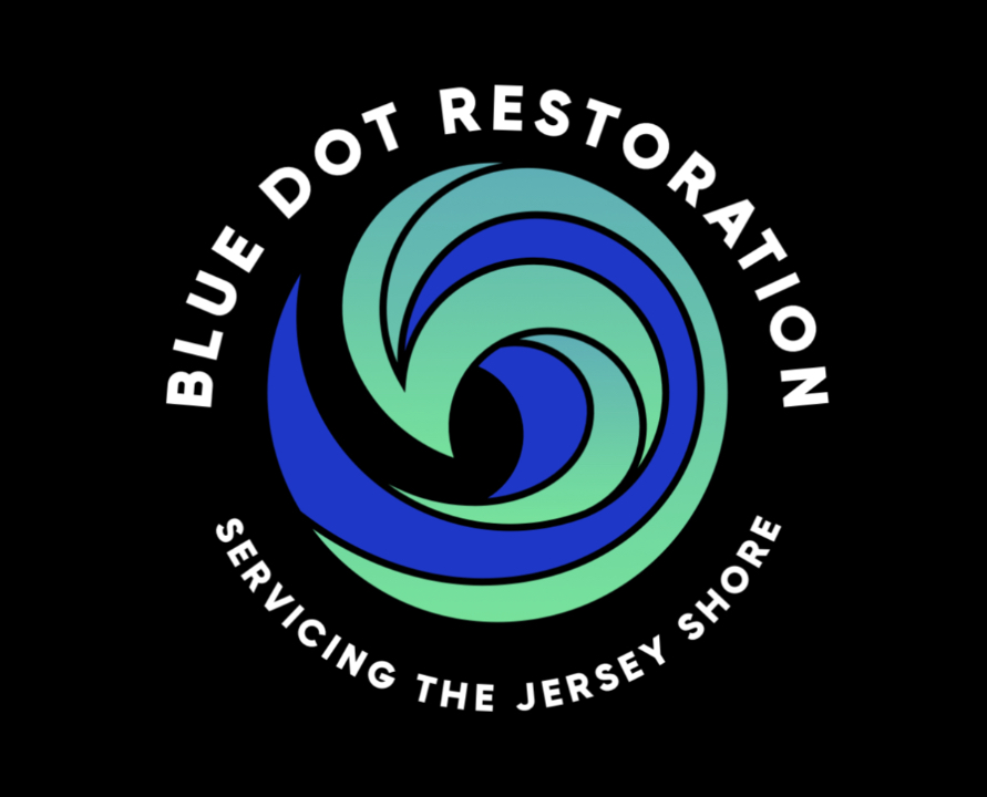 Blue Dot Restoration logo