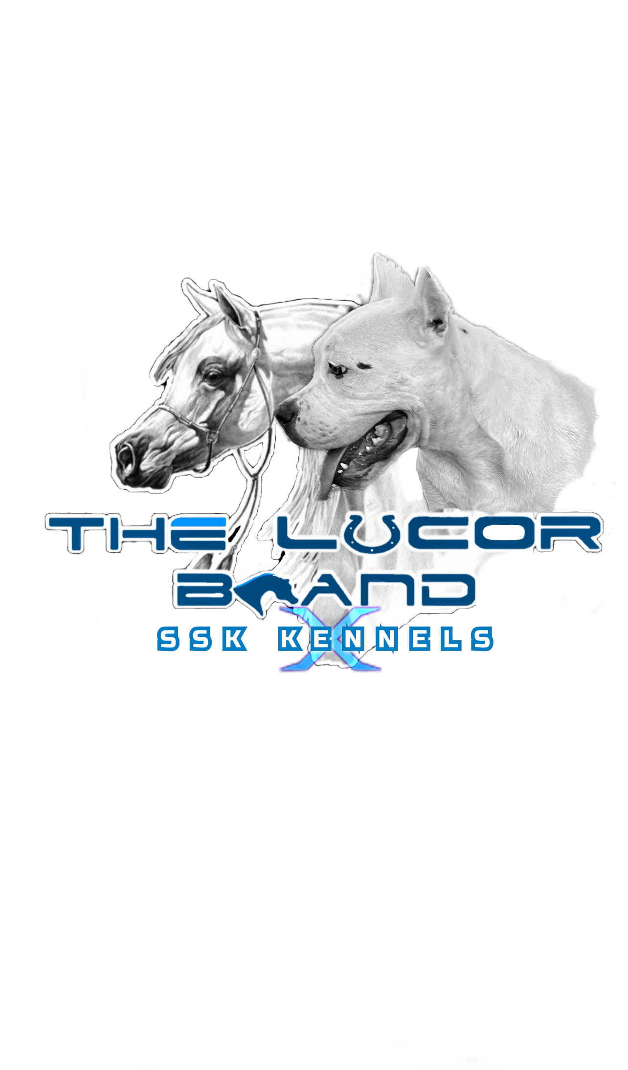 The Lucor Brand LLC logo