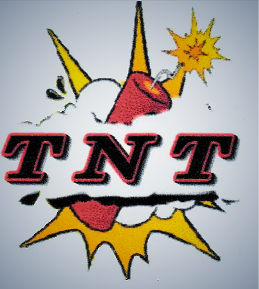 TNT Professional Painting logo