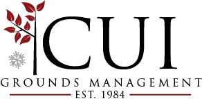 CUI Services logo