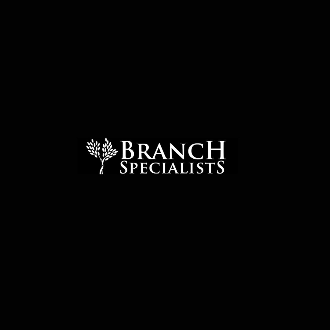 Branch Specialists Rochester logo