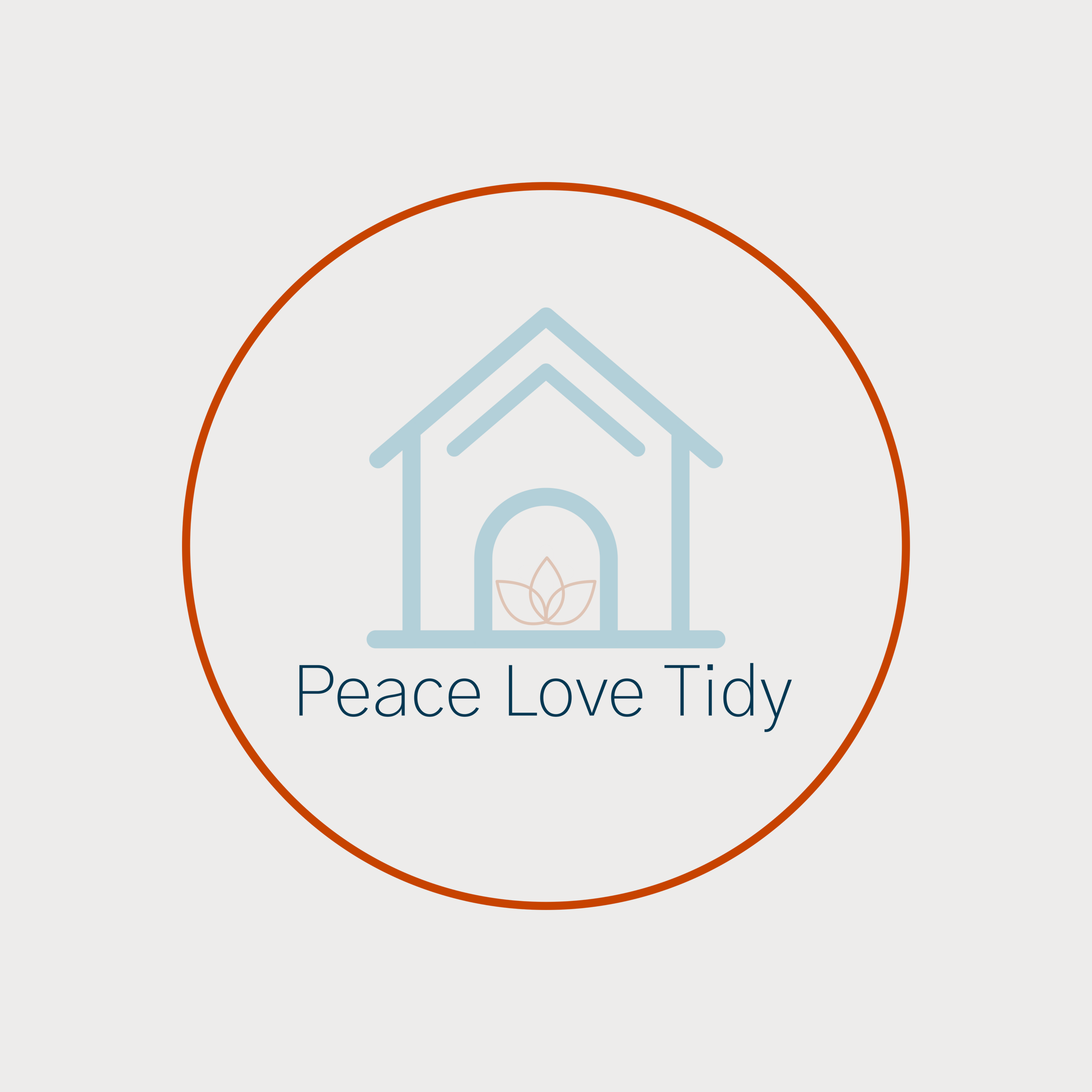 Avatar for Peace Love Tidy